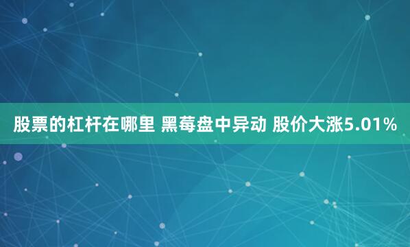 股票的杠杆在哪里 黑莓盘中异动 股价大涨5.01%