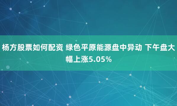 杨方股票如何配资 绿色平原能源盘中异动 下午盘大幅上涨5.05%