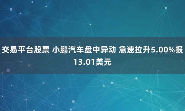 交易平台股票 小鹏汽车盘中异动 急速拉升5.00%报13.01美元