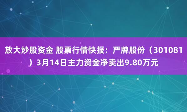 放大炒股资金 股票行情快报：严牌股份（301081）3月14日主力资金净卖出9.80万元