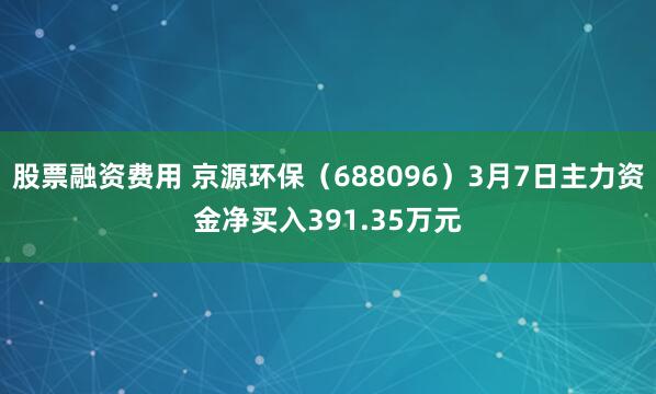 股票融资费用 京源环保(688096)3月7日主力资金净买入391.35万元