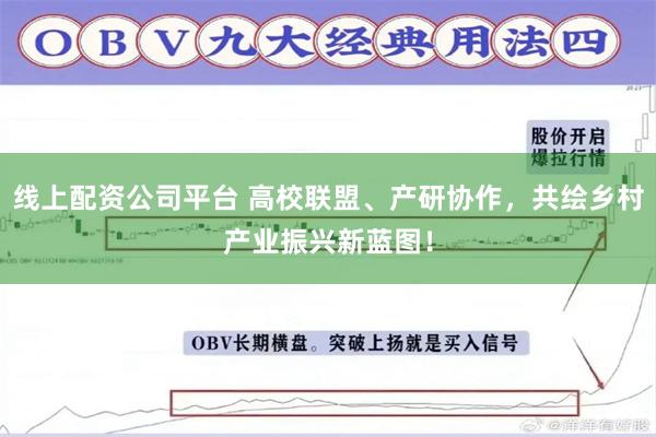 线上配资公司平台 高校联盟、产研协作,共绘乡村产业振兴新蓝图!