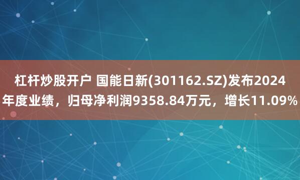 杠杆炒股开户 国能日新(301162.SZ)发布2024年度业绩,归母净利润9358.84万元,增长11.09%