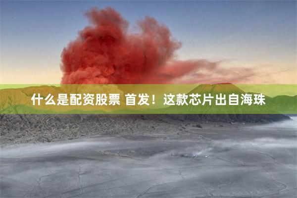 什么是配资股票 首发！这款芯片出自海珠