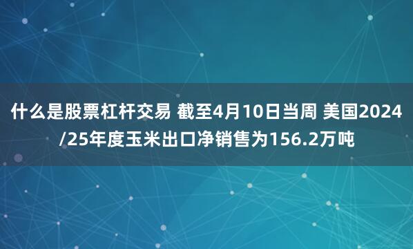 什么是股票杠杆交易 截至4月10日当周 美国2024/25年度玉米出口净销售为156.2万吨
