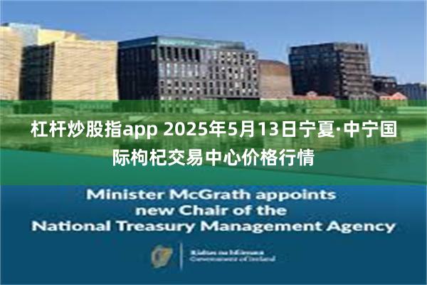 杠杆炒股指app 2025年5月13日宁夏·中宁国际枸杞交易中心价格行情