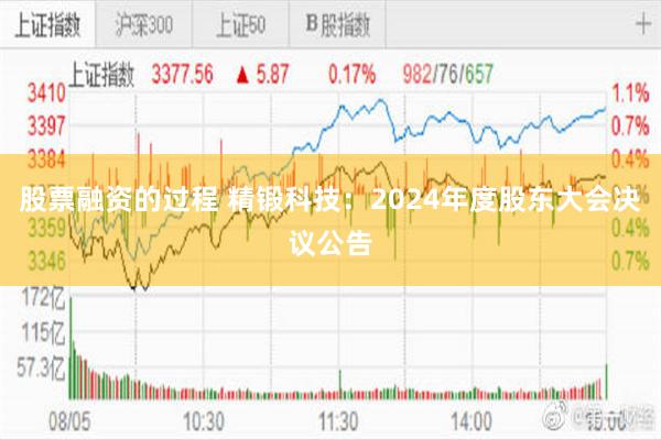 股票融资的过程 精锻科技:2024年度股东大会决议公告
