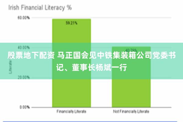 股票地下配资 马正国会见中铁集装箱公司党委书记、董事长杨斌一行